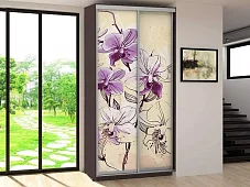 Шкаф-купе ХИТ Реймер (120) 46 с фотопечатью Бежевый